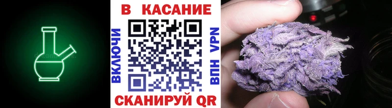 МЕФ Приморск
