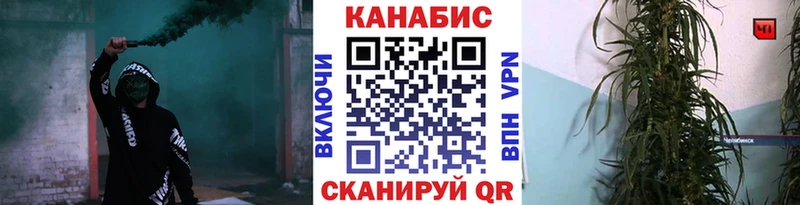 Купить закладки  Приморск  Каннабис индика 